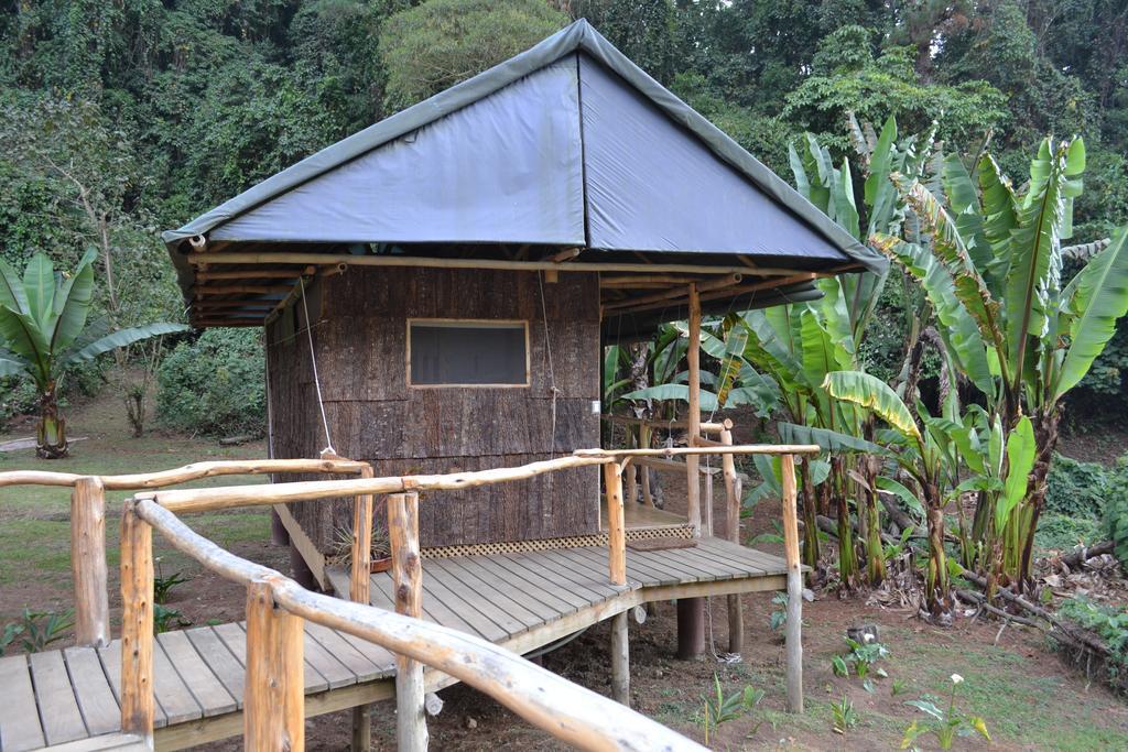 Hôtel El Tular Santuario Natural à San José Pinula Chambre photo